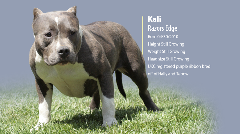 Kali