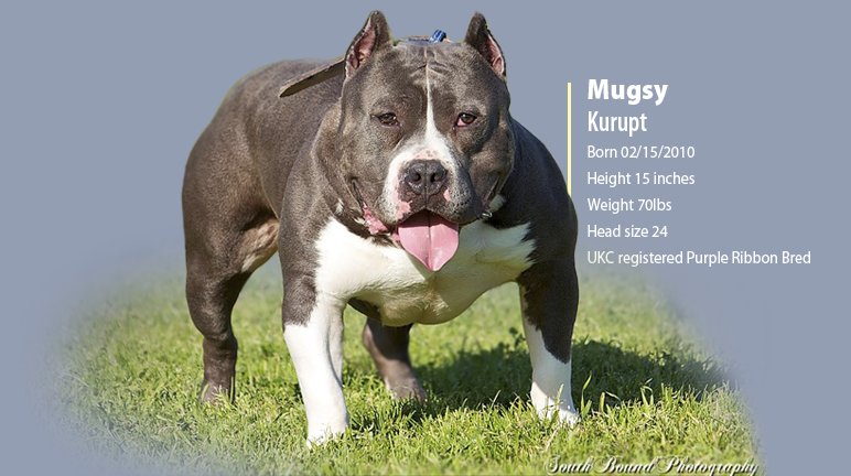 Mugsy