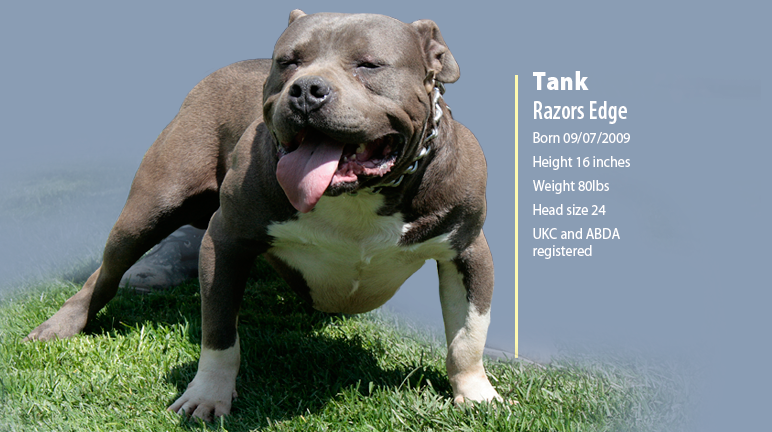 Tank